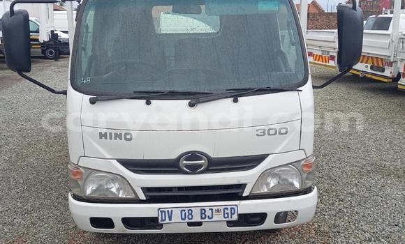 Buy Used Hino 300 Series White Truck in Livingstone in Zambia