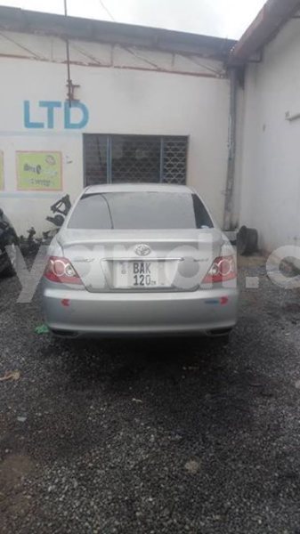 Big with watermark 53419596 335540620638782 8971437059226992640 n