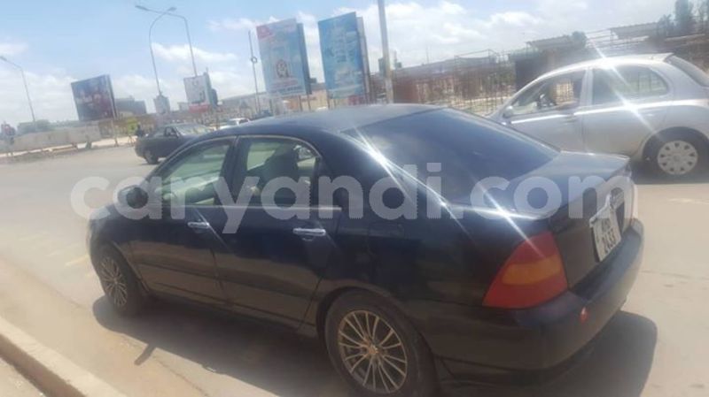 Big with watermark 53363003 335529940639850 606616911689547776 o