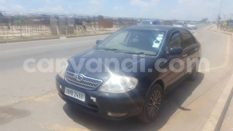 Big with watermark 53165066 335529927306518 7724166904222318592 n