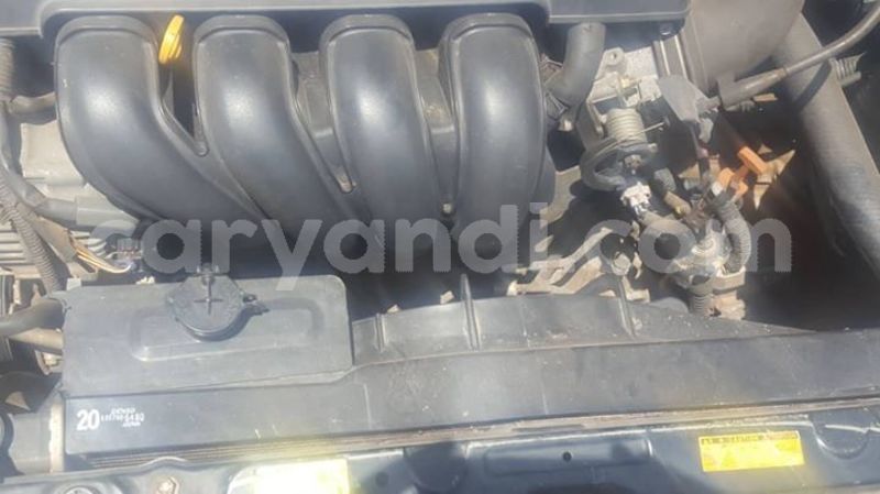 Big with watermark 53274668 335530037306507 7941159393729445888 o