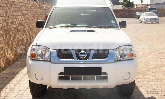 Buy Used Nissan NP 300 White Car in Chilanga in Lusaka Buy Used Nissan NP 300 White Car in Chilanga in Lusaka