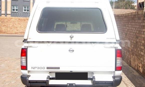 Buy Used Nissan NP 300 White Car in Chilanga in Lusaka Buy Used Nissan NP 300 White Car in Chilanga in Lusaka