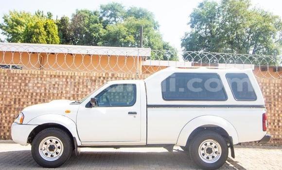 Buy Used Nissan NP 300 White Car in Chilanga in Lusaka Buy Used Nissan NP 300 White Car in Chilanga in Lusaka