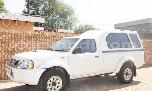 Buy Used Nissan NP 300 White Car in Chilanga in Lusaka Buy Used Nissan NP 300 White Car in Chilanga in Lusaka