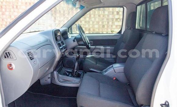 Buy Used Nissan NP 300 White Car in Chilanga in Lusaka Buy Used Nissan NP 300 White Car in Chilanga in Lusaka
