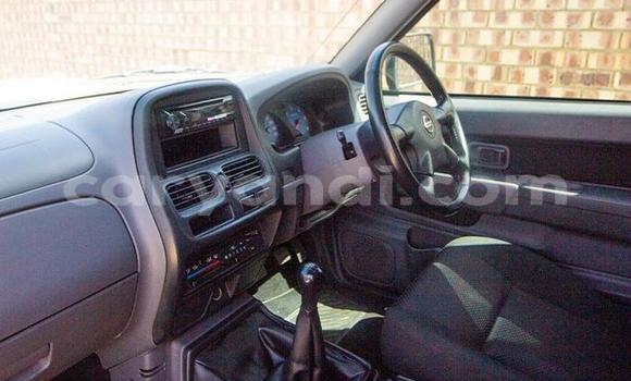 Buy Used Nissan NP 300 White Car in Chilanga in Lusaka Buy Used Nissan NP 300 White Car in Chilanga in Lusaka