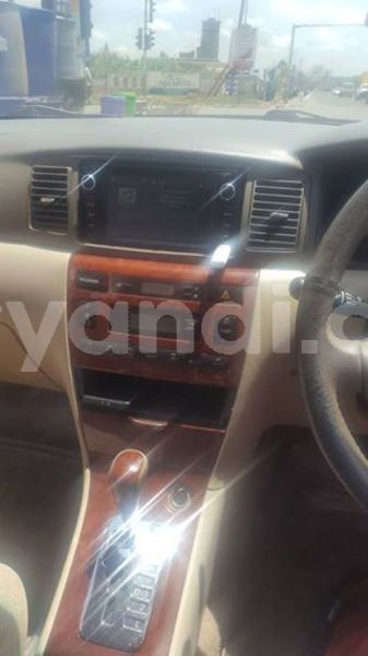 Big with watermark 53456344 335530017306509 1736717927907852288 n