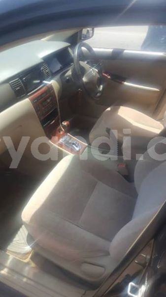 Big with watermark 53537534 335529987306512 2807231577178767360 n