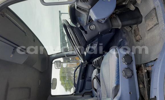 Tenga Tsaru Hino 300 Series Chena Rori in Chilanga in Lusaka Tenga Tsaru Hino 300 Series Chena Rori in Chilanga in Lusaka