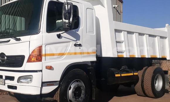 Buy Used Hino Ranger White Truck in Chilanga in Lusaka