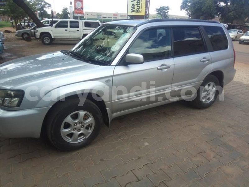 Big with watermark 52898352 335518900640954 3242575277687046144 o