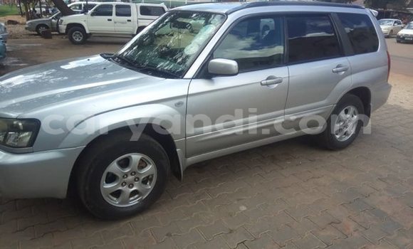 Nunua Ilio tumika Subaru Forester Fedha Gari ndani ya Lusaka nchini Zambia Nunua Ilio tumika Subaru Forester Fedha Gari ndani ya Lusaka nchini Zambia