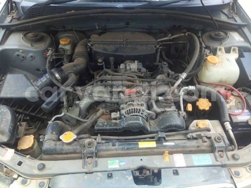 Big with watermark 53730323 335518980640946 8775729731854139392 o