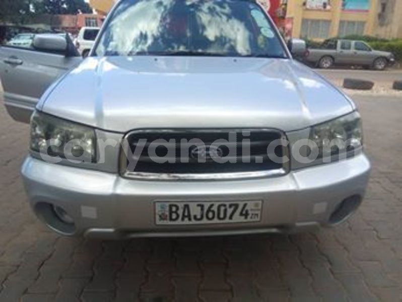 Big with watermark 52845366 335518877307623 6953103009098235904 n