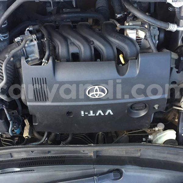 Big with watermark 53549382 334977677361743 2204009755532328960 n