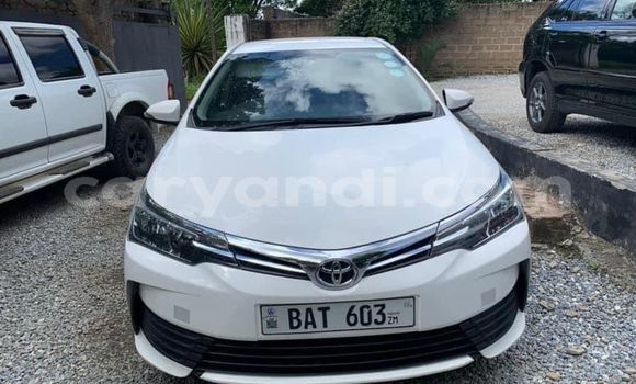 Buy Used Toyota Corolla Other Car in Lusaka in Zambia