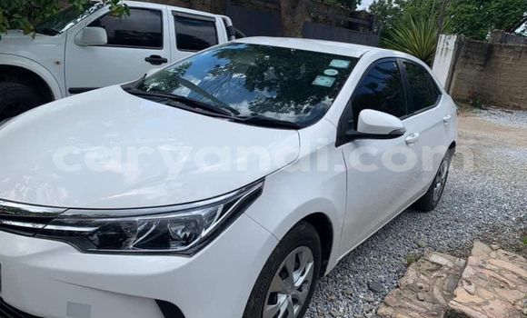 Acheter Occasion Voiture Toyota Corolla Autre à Lusaka, Zambie Acheter Occasion Voiture Toyota Corolla Autre à Lusaka, Zambie
