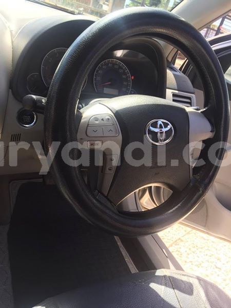 Big with watermark 53006144 334977584028419 1165720786321801216 n