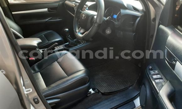 Tenga Tsaru Toyota Hilux Sirivha Mota in Chilanga in Lusaka Tenga Tsaru Toyota Hilux Sirivha Mota in Chilanga in Lusaka