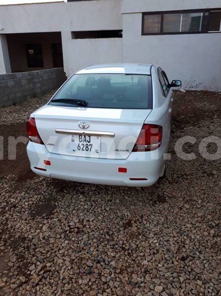 Big with watermark 53233319 334902440702600 91177895086522368 n