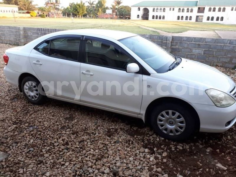 Big with watermark 52941742 334902404035937 76195717718212608 o