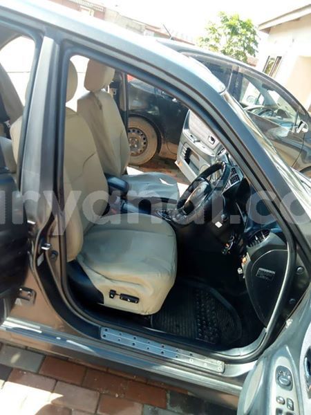 Big with watermark 53229481 332870670905777 7421255775802097664 n