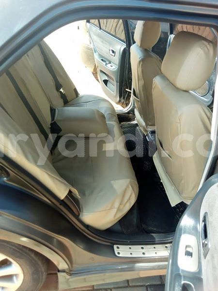 Big with watermark 53283325 332870704239107 4703147140837277696 n