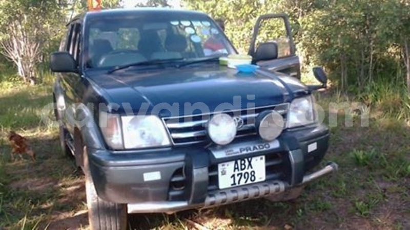 Big with watermark 52366896 329786844547493 7134728508802072576 n