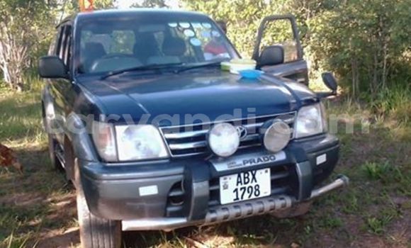 Nunua Ilio tumika Toyota Land Cruiser Prado Bluu Gari ndani ya Lusaka nchini Zambia Nunua Ilio tumika Toyota Land Cruiser Prado Bluu Gari ndani ya Lusaka nchini Zambia