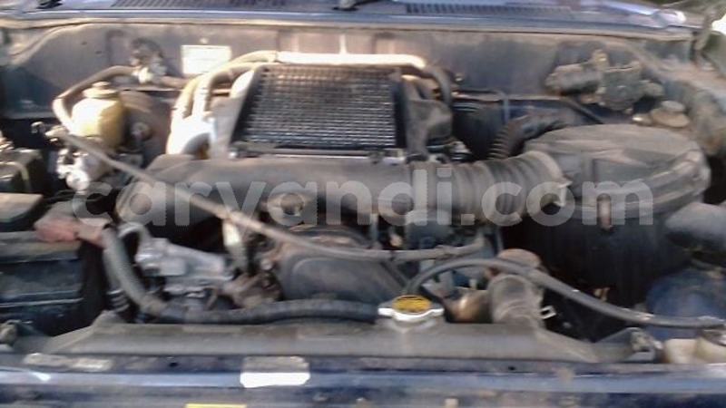 Big with watermark 52911313 329786931214151 7011205816304795648 n