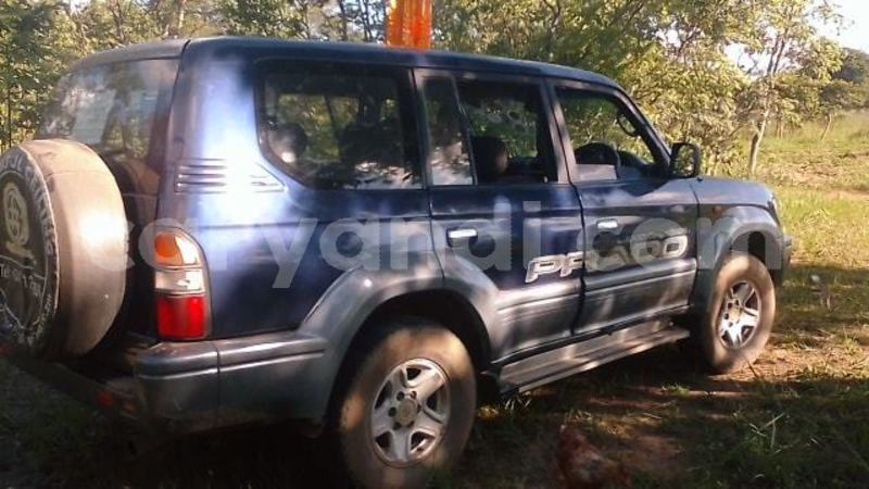 Big with watermark 52822573 329786887880822 4477808593571151872 n