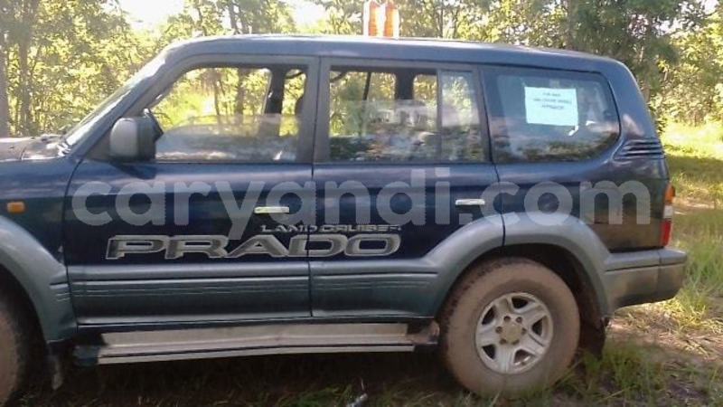 Big with watermark 52290081 329786867880824 8296935943156269056 n