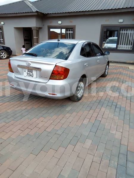 Big with watermark 51311697 329592441233600 976578148957159424 n