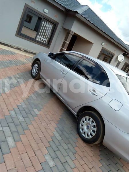 Big with watermark 52605353 329592401233604 9068645784181800960 n