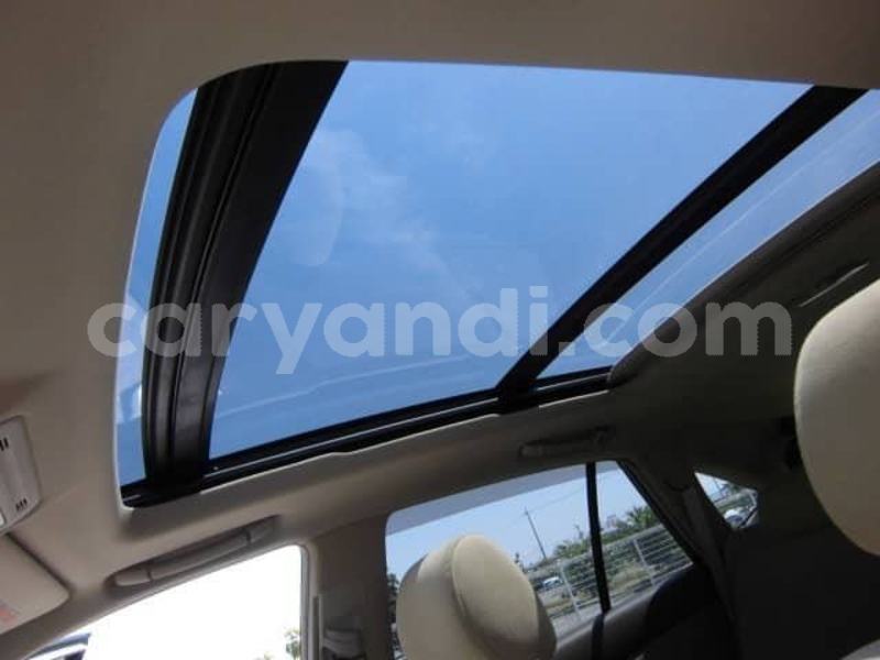 Big with watermark 51960740 329497977909713 2716464061922410496 n