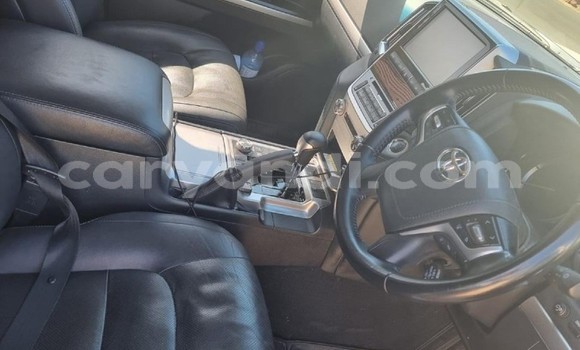Buy Used Toyota Land Cruiser White Car in Chilanga in Lusaka Buy Used Toyota Land Cruiser White Car in Chilanga in Lusaka