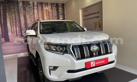 Buy Used Toyota Land Cruiser White Car in Lusaka in Zambia