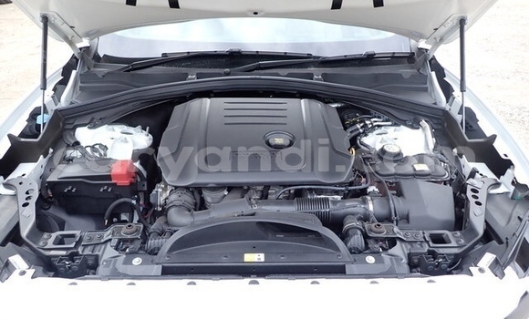 Buy Used Jaguar F-Pace White Car in Lusaka in Zambia Buy Used Jaguar F-Pace White Car in Lusaka in Zambia