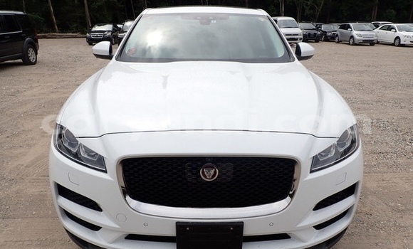 Buy Used Jaguar F-Pace White Car in Lusaka in Zambia Buy Used Jaguar F-Pace White Car in Lusaka in Zambia