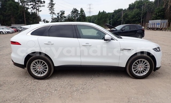 Buy Used Jaguar F-Pace White Car in Lusaka in Zambia Buy Used Jaguar F-Pace White Car in Lusaka in Zambia