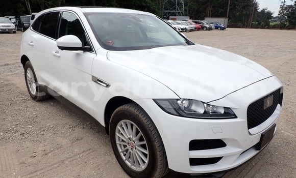 Buy Used Jaguar F-Pace White Car in Lusaka in Zambia Buy Used Jaguar F-Pace White Car in Lusaka in Zambia