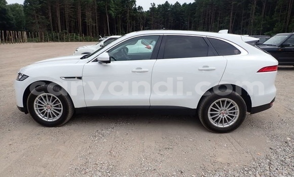 Buy Used Jaguar F-Pace White Car in Lusaka in Zambia Buy Used Jaguar F-Pace White Car in Lusaka in Zambia