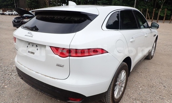 Buy Used Jaguar F-Pace White Car in Lusaka in Zambia Buy Used Jaguar F-Pace White Car in Lusaka in Zambia
