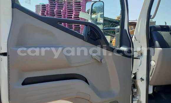 Tenga Tsaru Mitsubishi Fuso Chena Rori in Lusaka in Zambia Tenga Tsaru Mitsubishi Fuso Chena Rori in Lusaka in Zambia