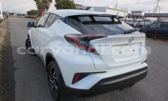 Buy Used Toyota C-HR White Car in Chilanga in Lusaka Buy Used Toyota C-HR White Car in Chilanga in Lusaka