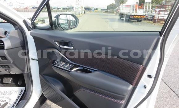 Buy Used Toyota C-HR White Car in Chilanga in Lusaka Buy Used Toyota C-HR White Car in Chilanga in Lusaka