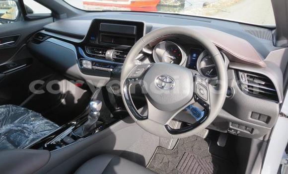 Buy Used Toyota C-HR White Car in Chilanga in Lusaka Buy Used Toyota C-HR White Car in Chilanga in Lusaka