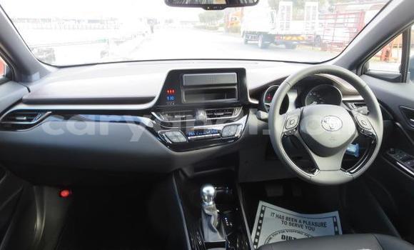 Buy Used Toyota C-HR White Car in Chilanga in Lusaka Buy Used Toyota C-HR White Car in Chilanga in Lusaka