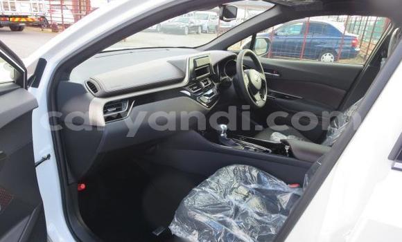 Buy Used Toyota C-HR White Car in Chilanga in Lusaka Buy Used Toyota C-HR White Car in Chilanga in Lusaka